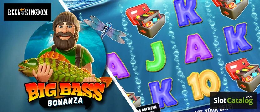 Paf Pokeri Ei Toimi - Vinkkejä Ja Ratkaisuita Ongelmiin